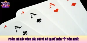 Phỏm (Tá Lả): Cách Câu Bài và Xé Cạ Để Luôn "Ù" Sớm Nhất